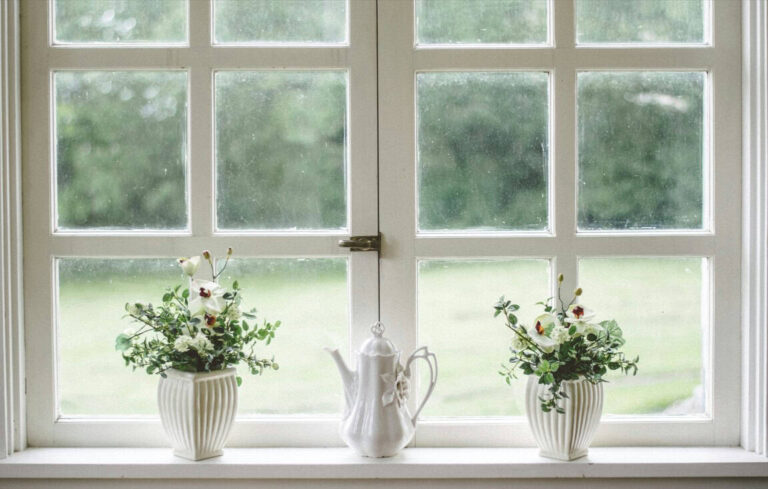 window with plants