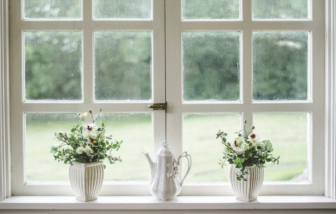 window with plants
