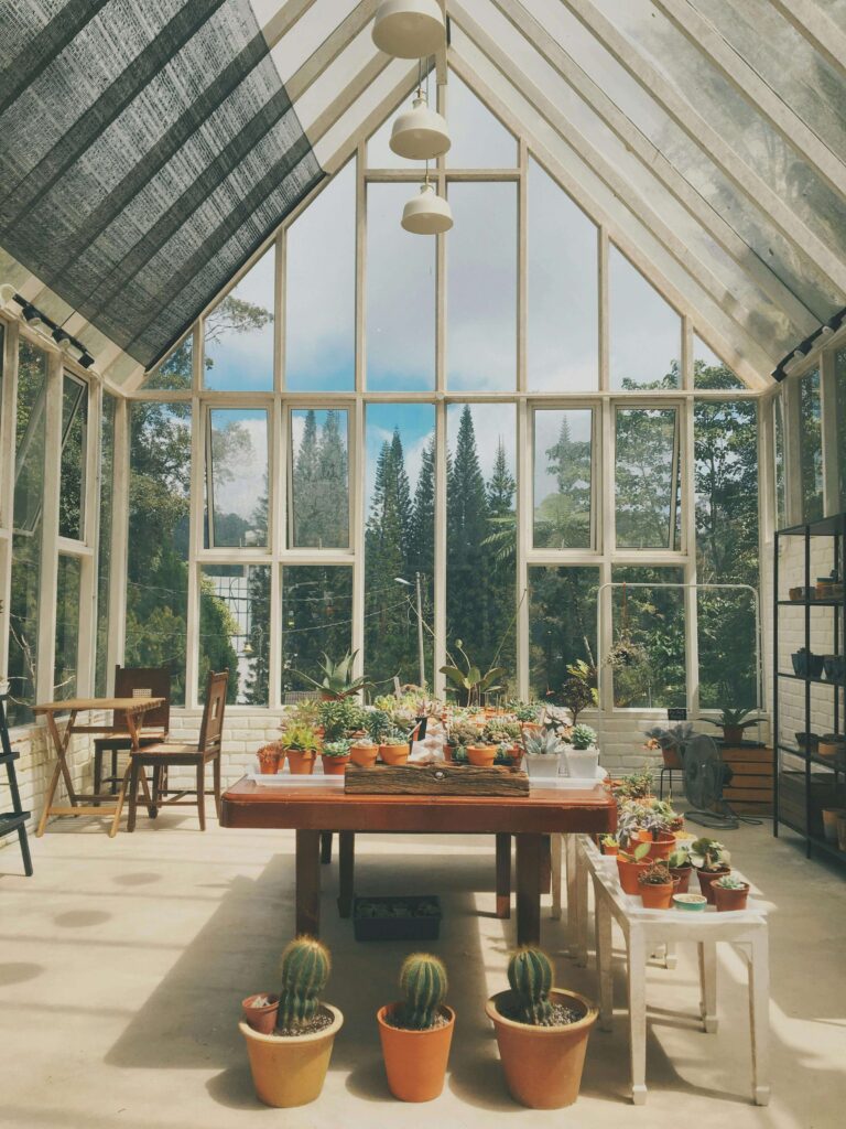 Conservatory with plants