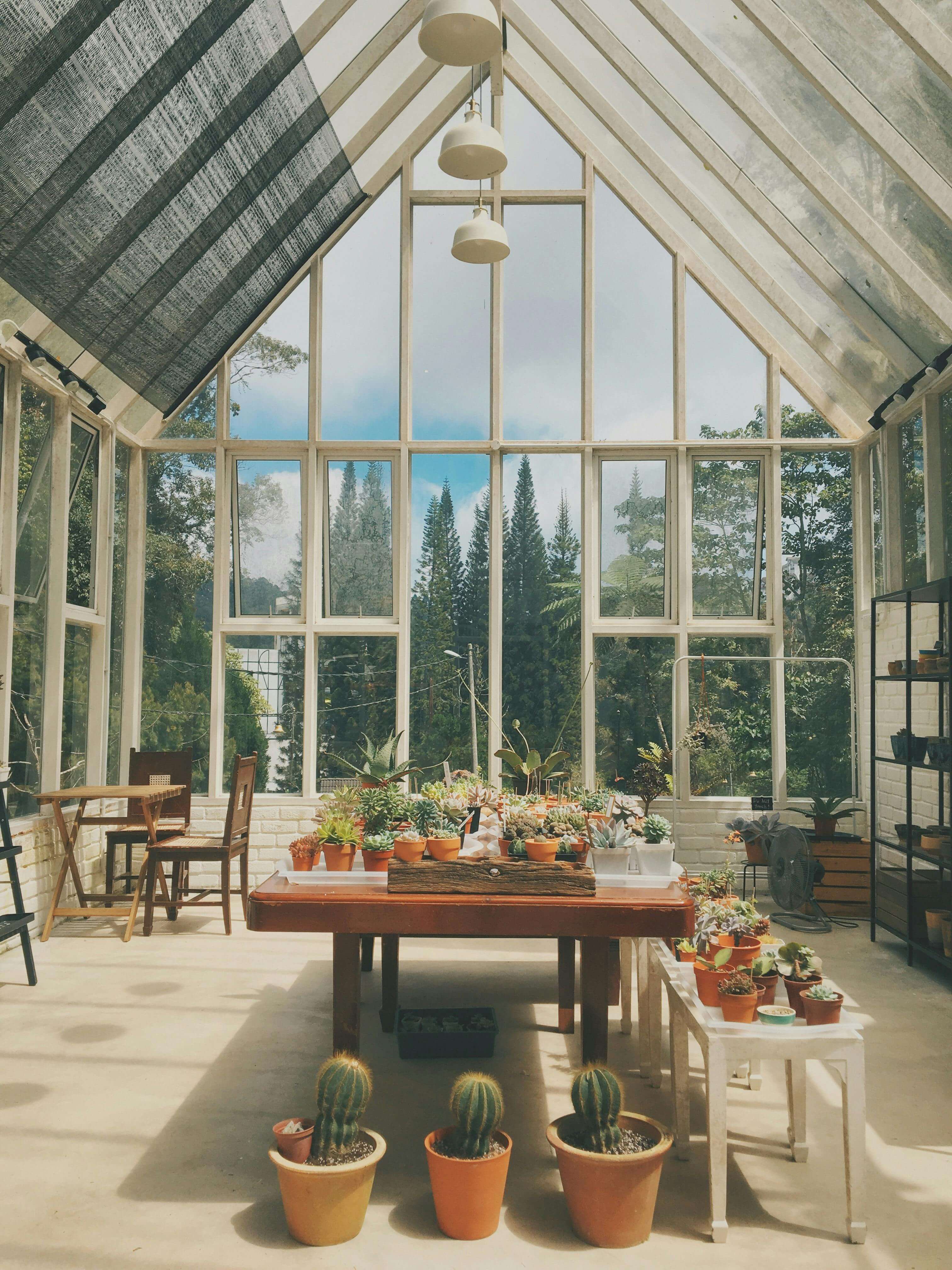 Conservatory with plants
